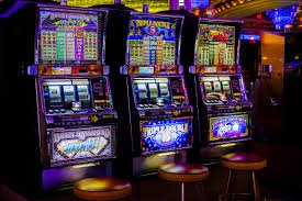 Tampilan dasbor multi-olahraga permaisuri4d